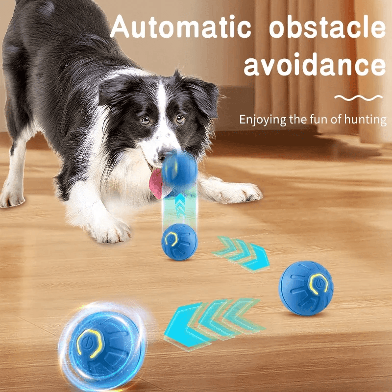 Brinquedo eletrônico interativo, Brinquedo do cão inteligente, Bola em movimento USB, Salto automático para cachorro, Produto de gato, Presente de aniversário