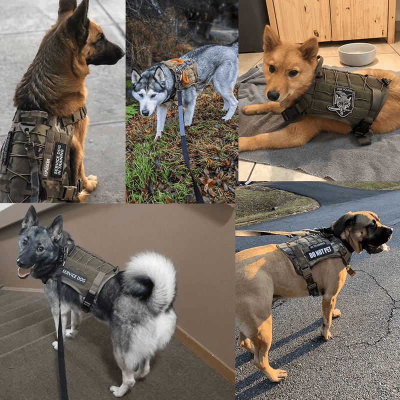 Coleira tática para cães, coleira para cães médios e grandes, colete militar para animais de estimação, serviço ajustável, para treinamento e caminhada